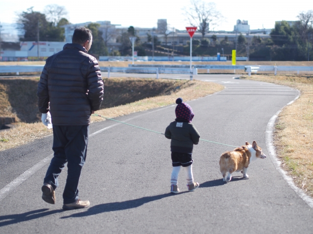 孫と犬の散歩