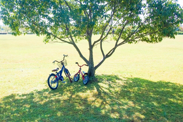 草原と自転車