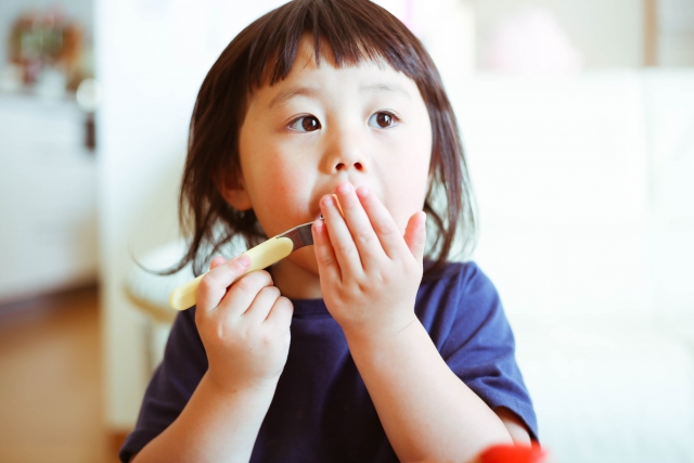 子どもがご飯を食べない場合の理由と食べさせる方法