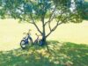 草原と自転車